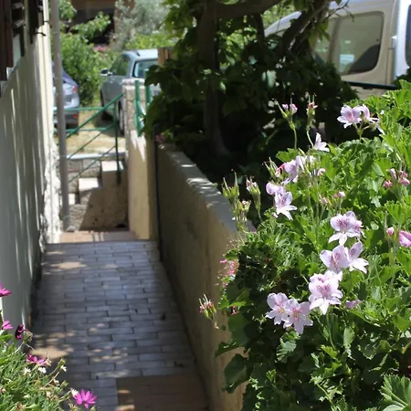 And With Parking Space Apartman *